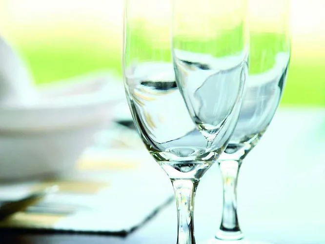 Hotel Maritim Bad Homburg